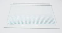 GLASBODEN MIT RAHMEN LEBENSMITTELFACH für BRANDT Kühlschrank / Gefrierschrank/ Gefriertruhe CA2950E